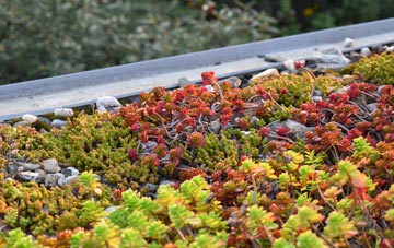 the cost of Roseworthy green roof installation