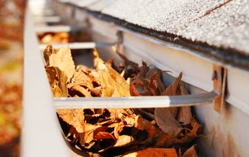 Roseworthy gutter cleaning companies
