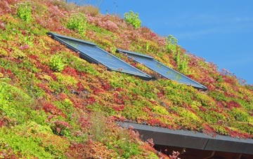 Roseworthy living roof systems