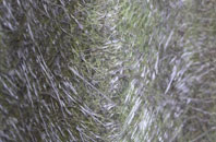 Roseworthy fibreglass roof work